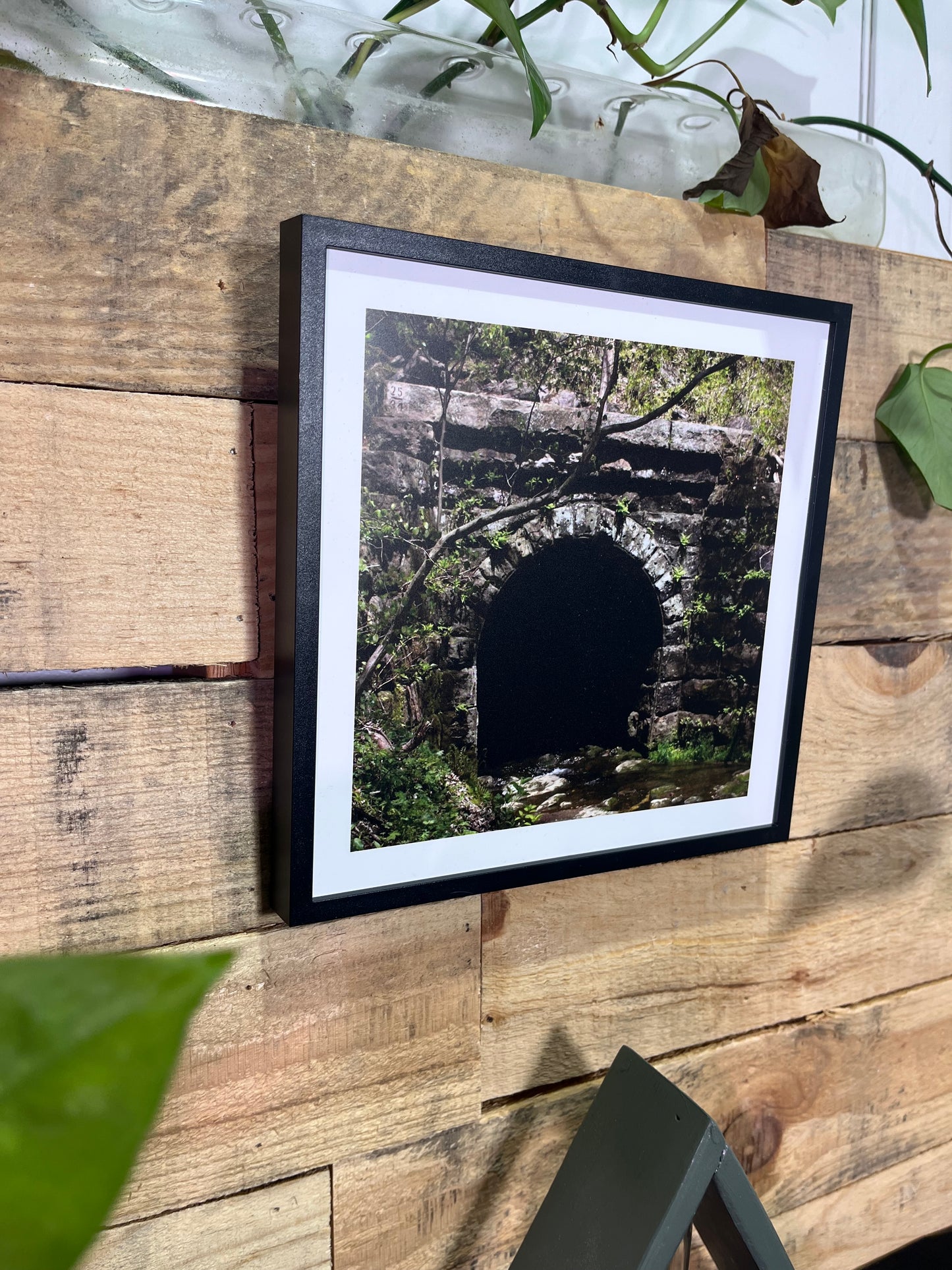 Set of 3 Nature Walk Photographs
