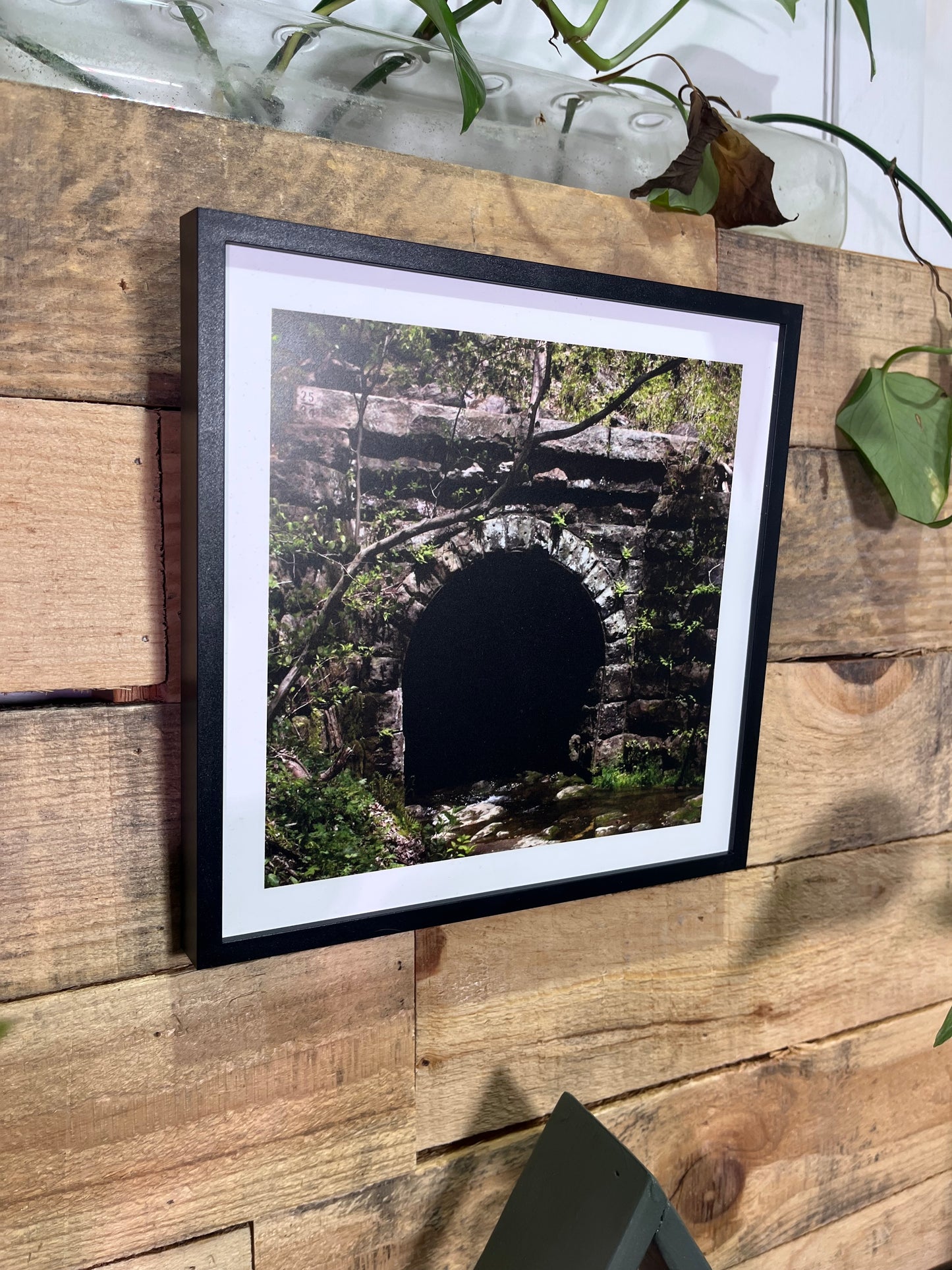 Set of 3 Nature Walk Photographs