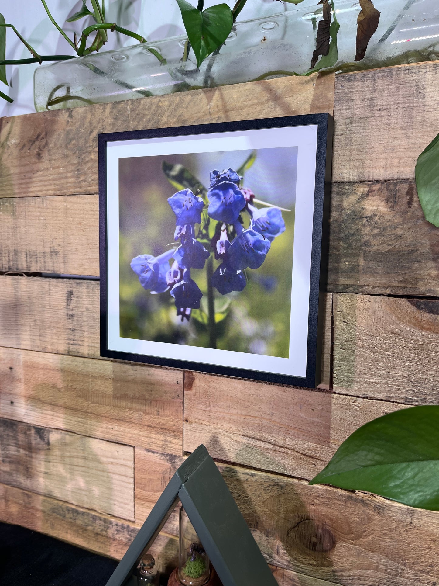 Set of 3 Nature Walk Photographs