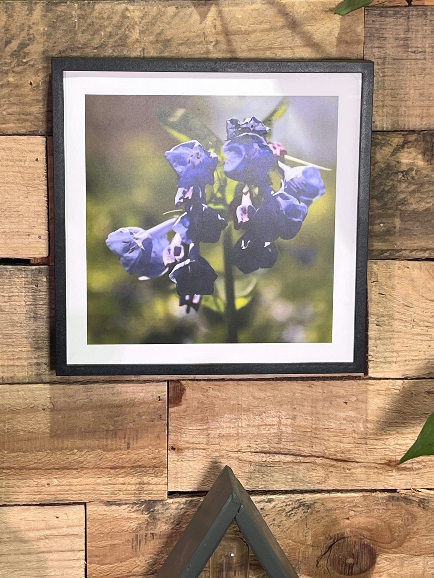 Set of 3 Nature Walk Photographs